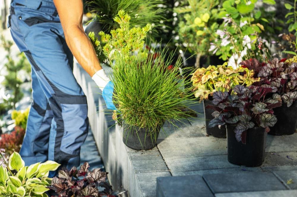 Site Improvement & Greening: Grading, Lawns, Flowerbeds, Trees & Shrubs
