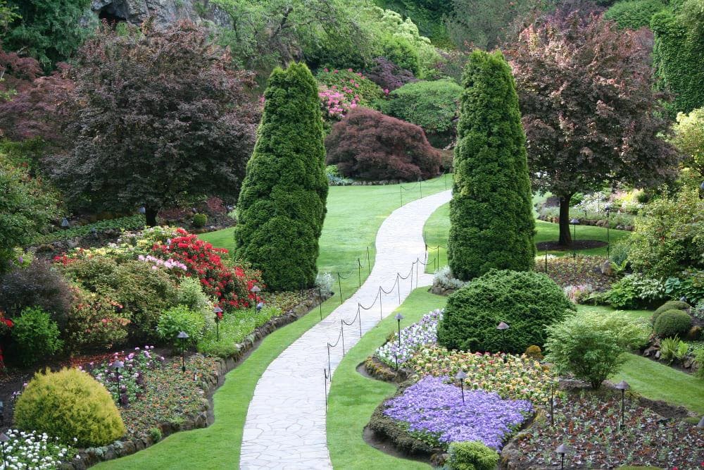 From Vision to Reality: Comprehensive Landscape Design & Build