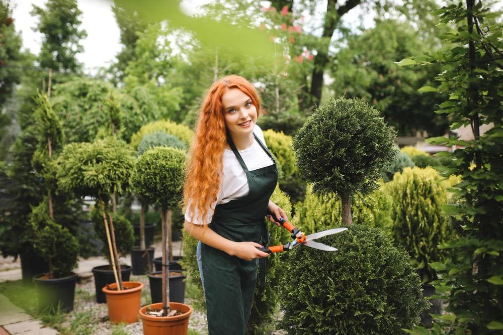Beyond Basic Green: The Art of Professional Landscape Transformation