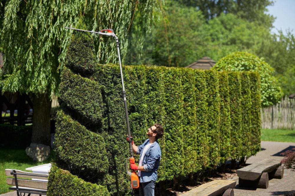 Professional Garden Care & Maintenance: Ensuring Lasting Beauty & Health