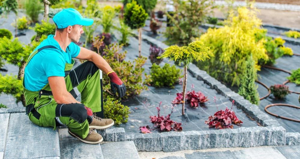 Maintenance & Care: Seasonal Planting, Pruning, Lawn & Decorative Element Care