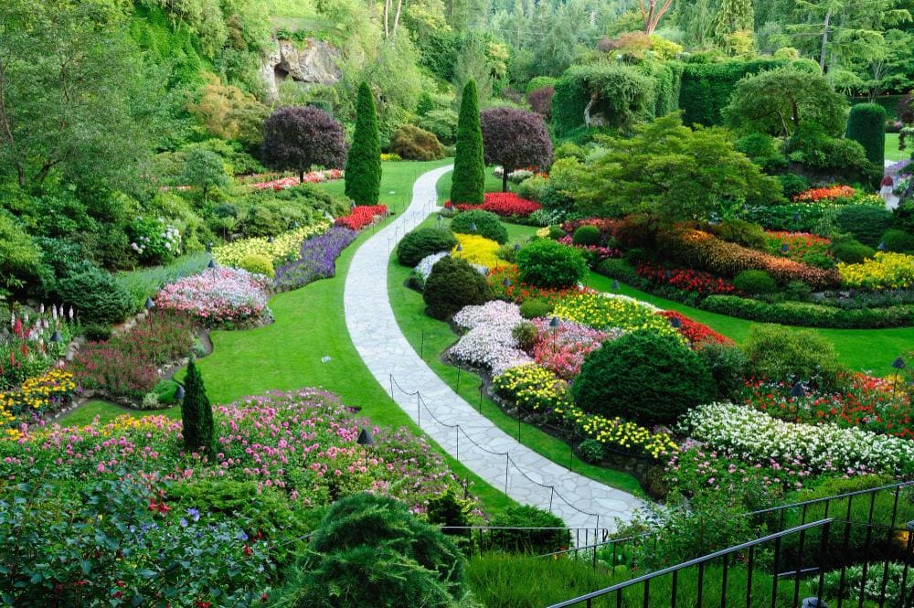 Lush Plantings & Vibrant Gardens: From Lawns to Flowerbeds & Trees